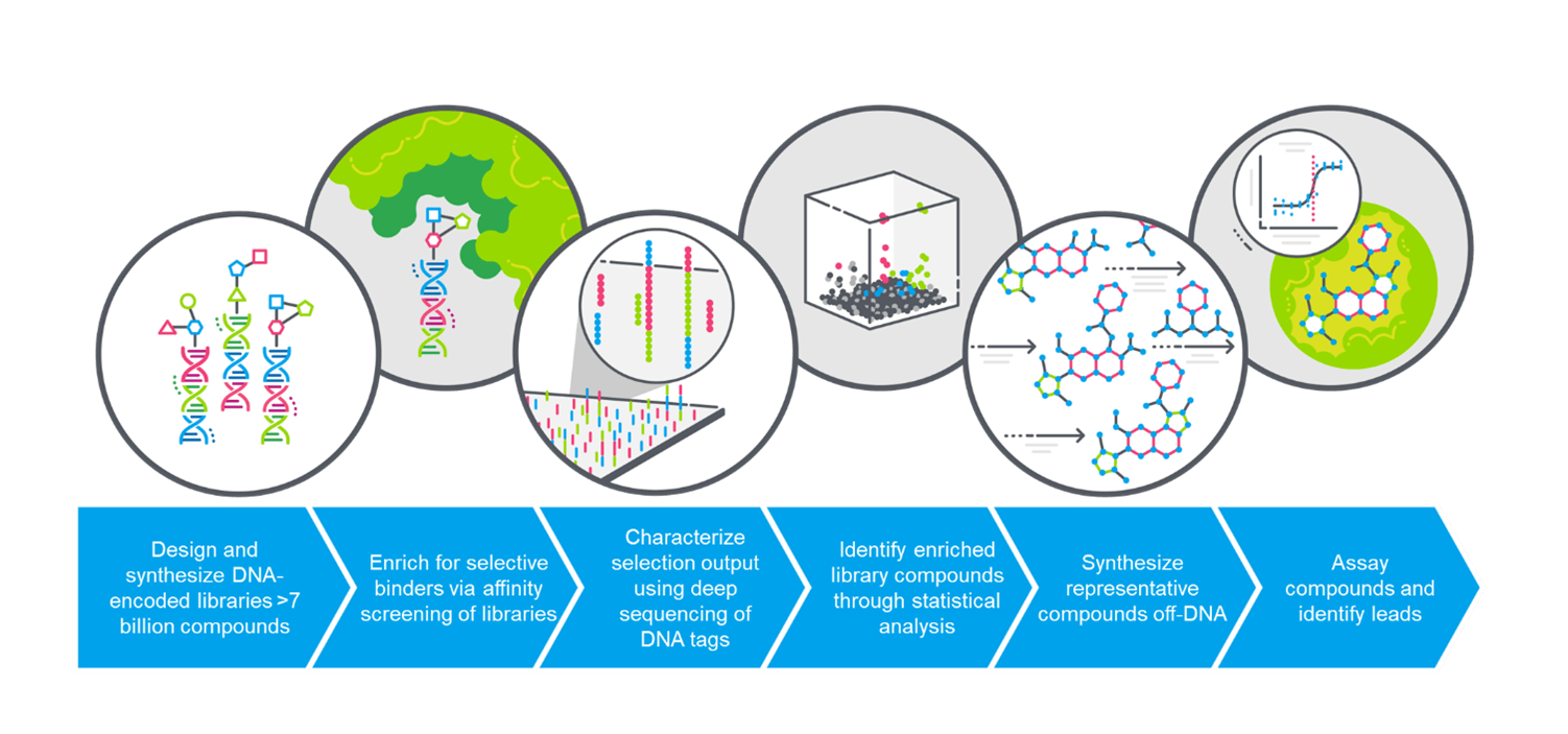 Through The Lens Of A Lead Discovery Scientist: Enabling Hit ...